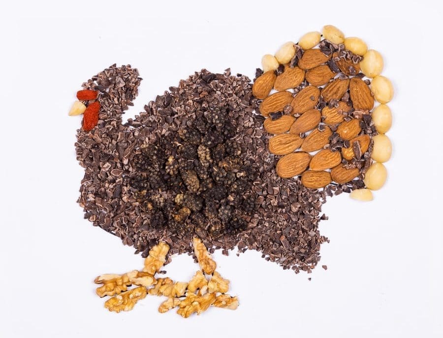 turkey made with food